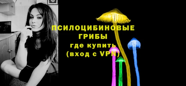 эйфоретик Баксан