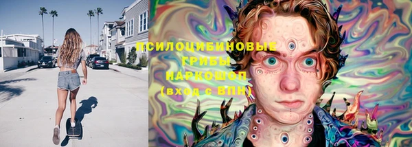 эйфоретик Баксан